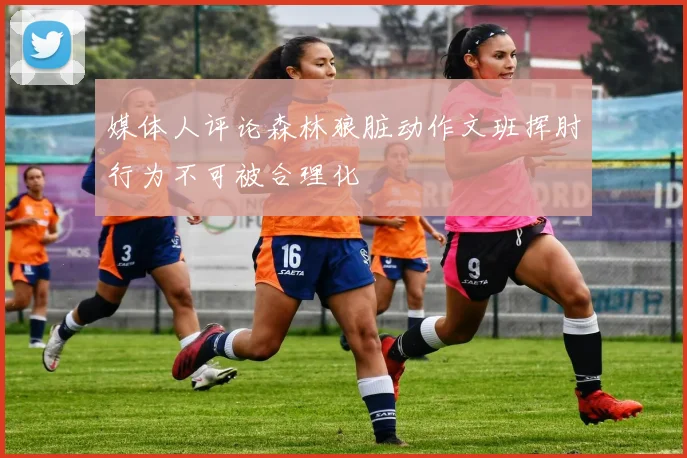 媒体人评论森林狼脏动作文班挥肘行为不可被合理化